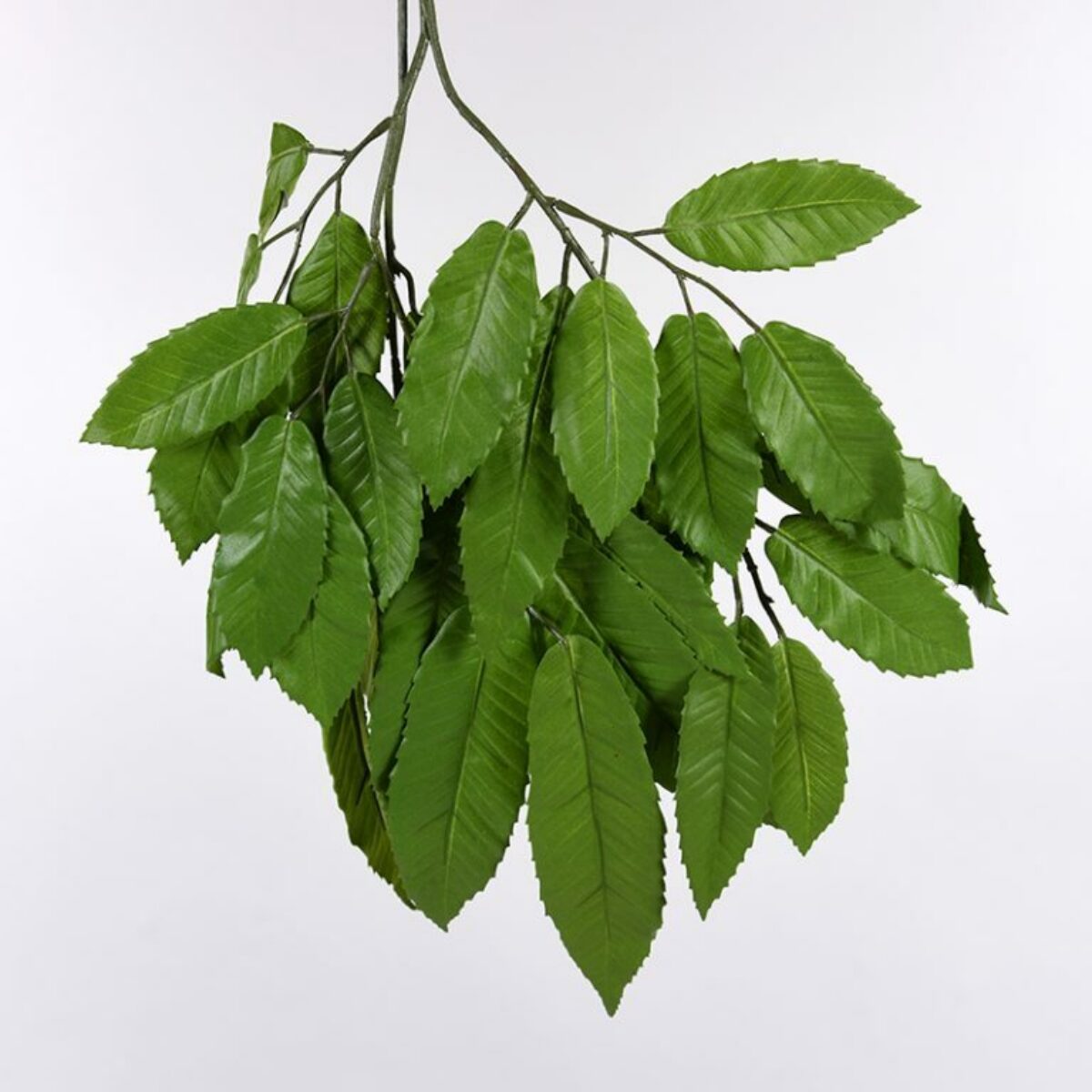 Lime Leaf Branch 80cm