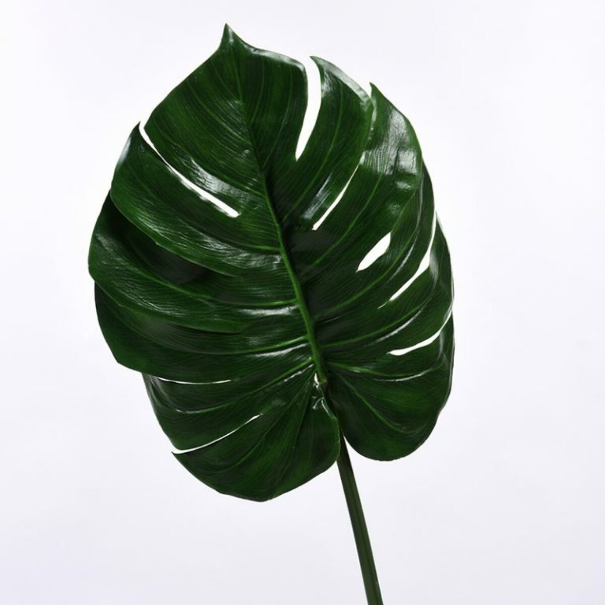 Monstera Leaf 90cm