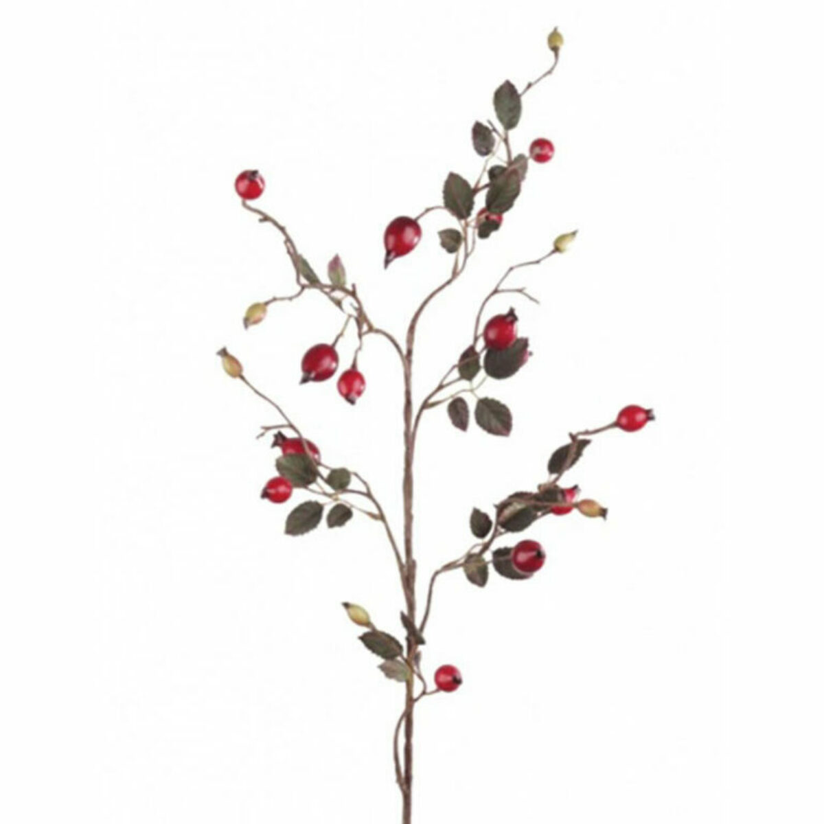 Rosehip Spray 80cm P14230 R BLA 768x768
