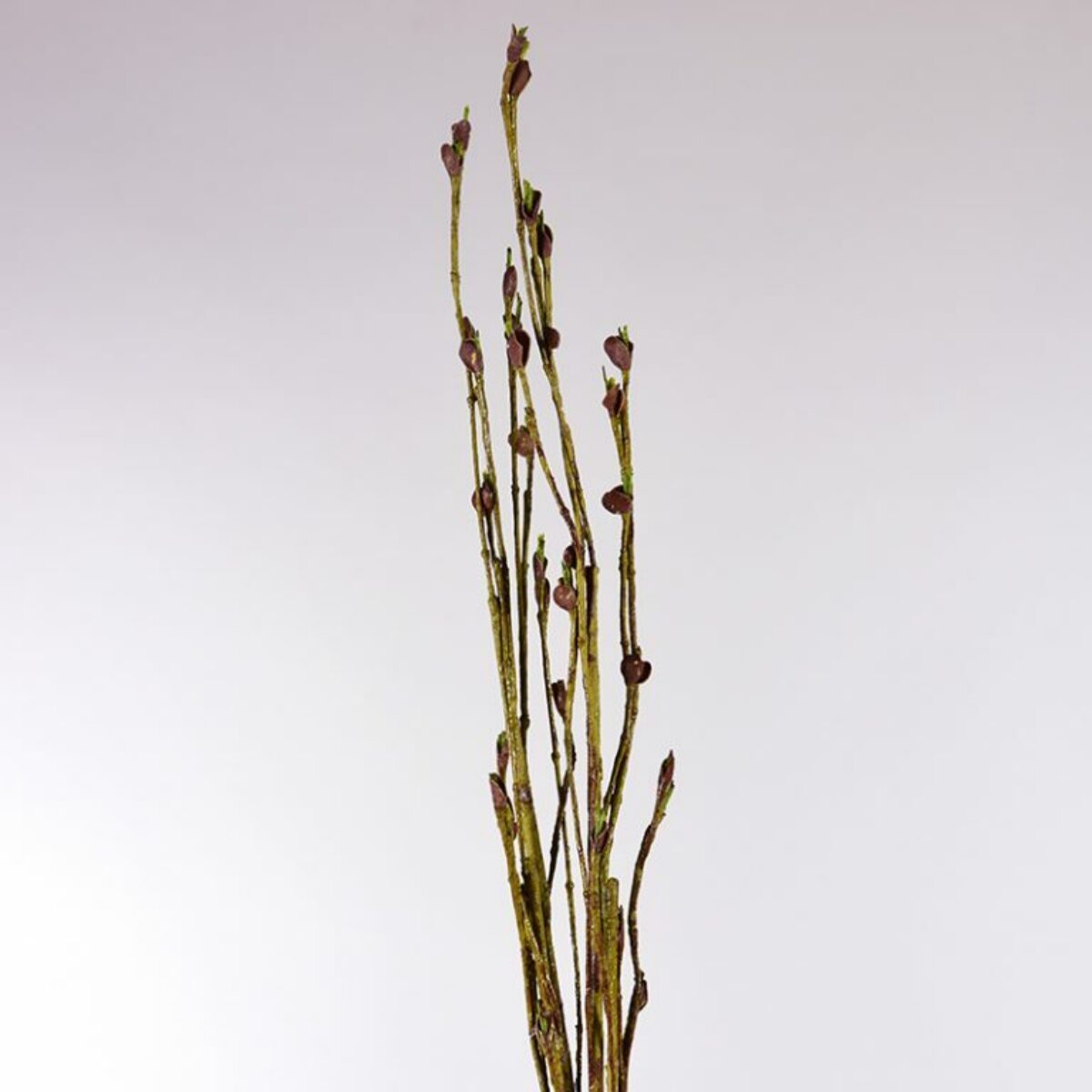 Sticky Twiggy Branch 90cm