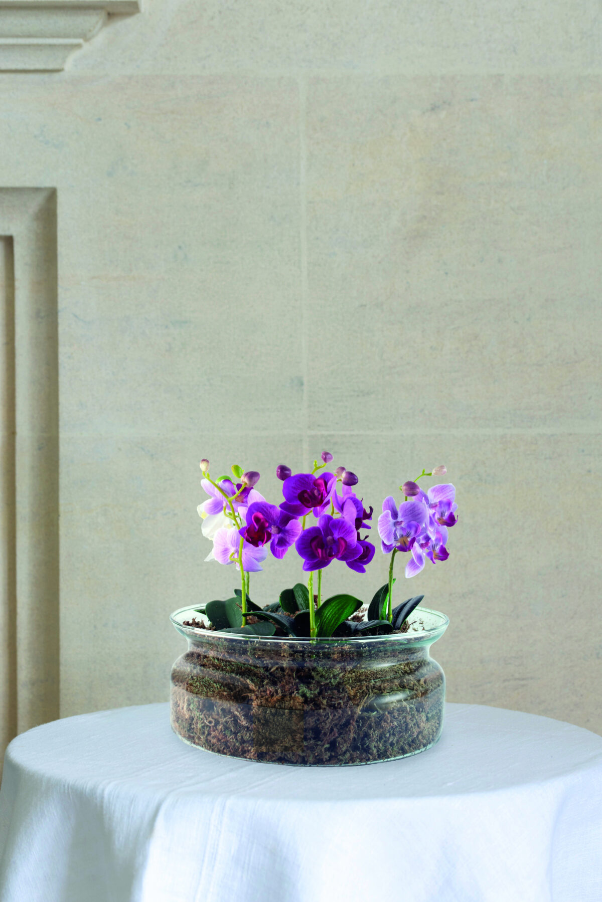 Botanical Glass Planter Large 25 x 10cm DH 2