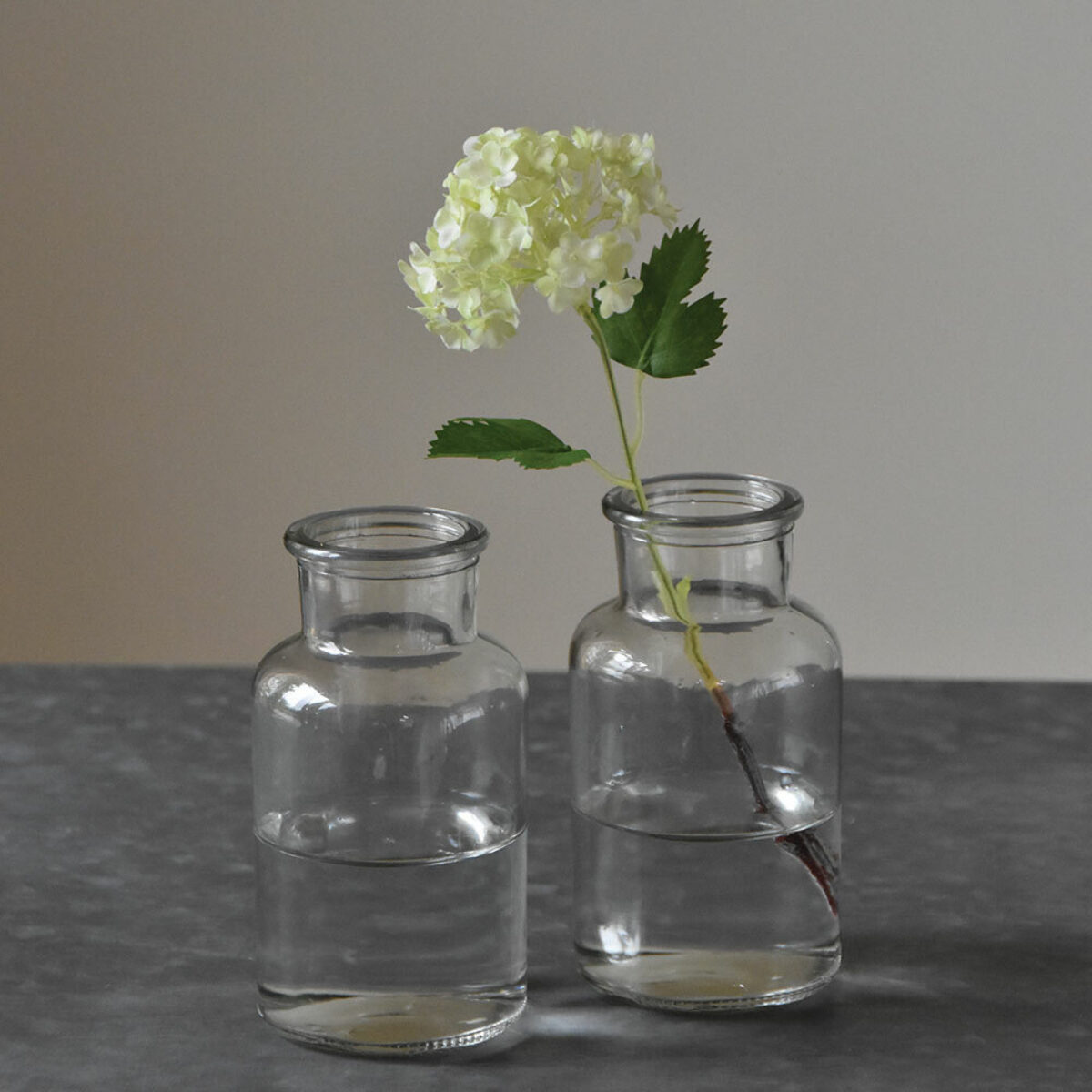 Mini Botanical Bottle 7 x 14cm DH 3