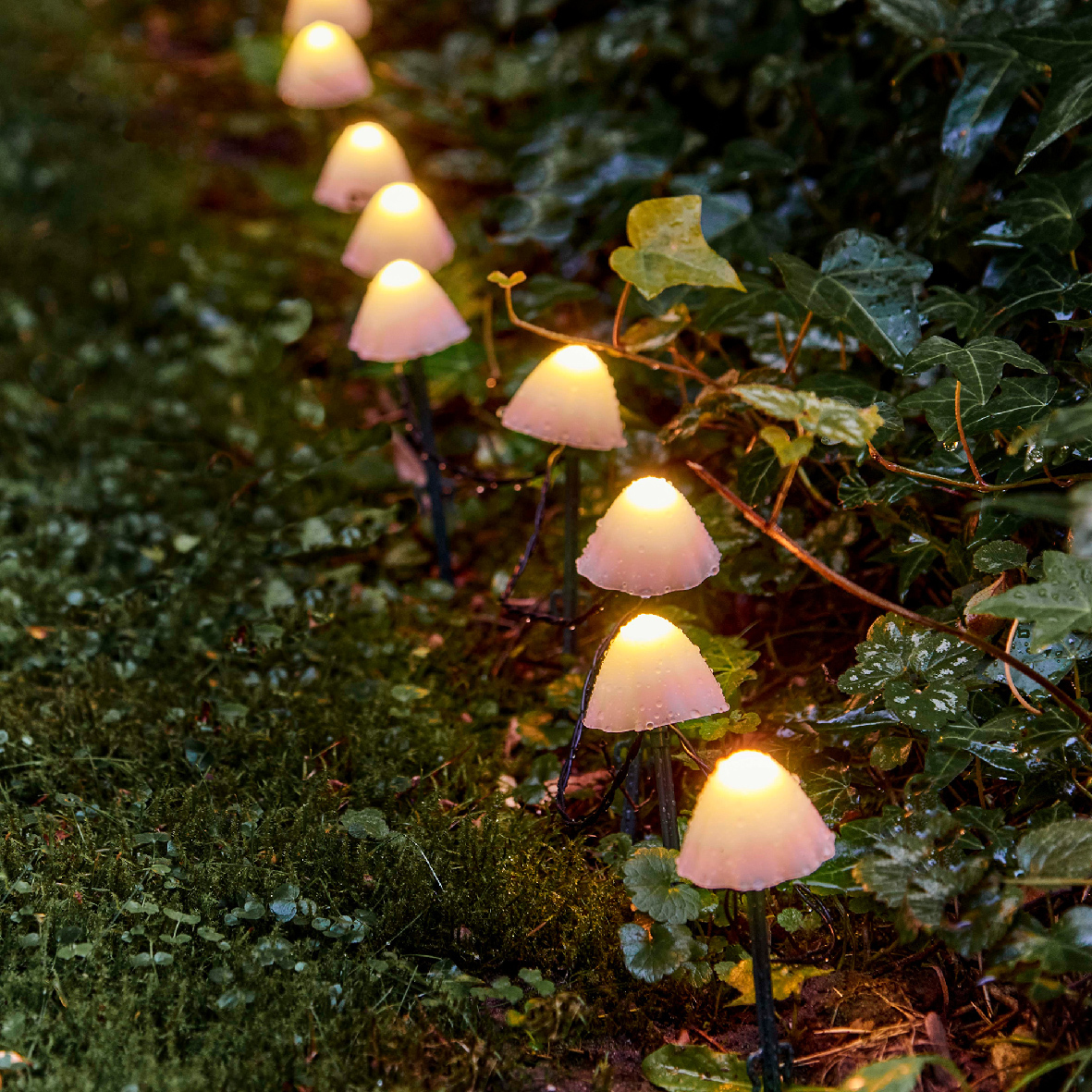 LED Toadstools in sets of 4