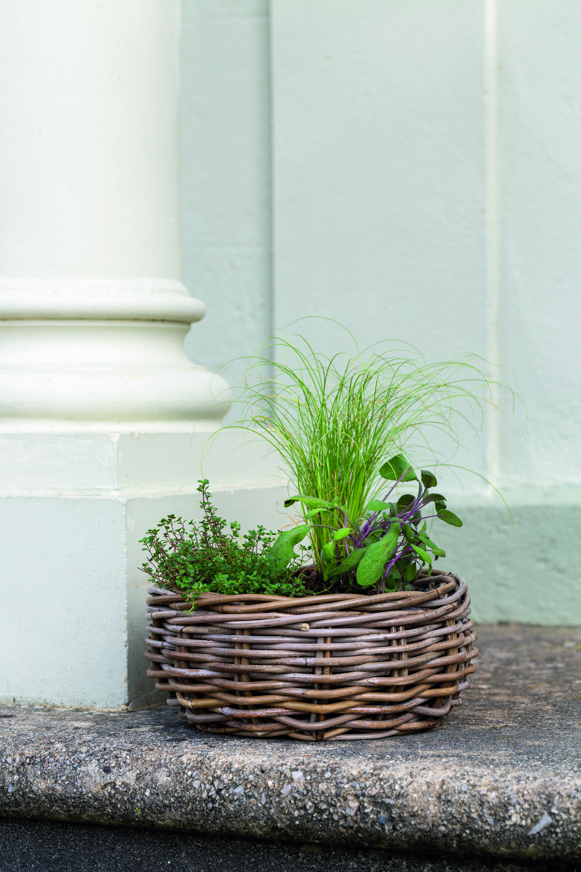 Wicker Basket