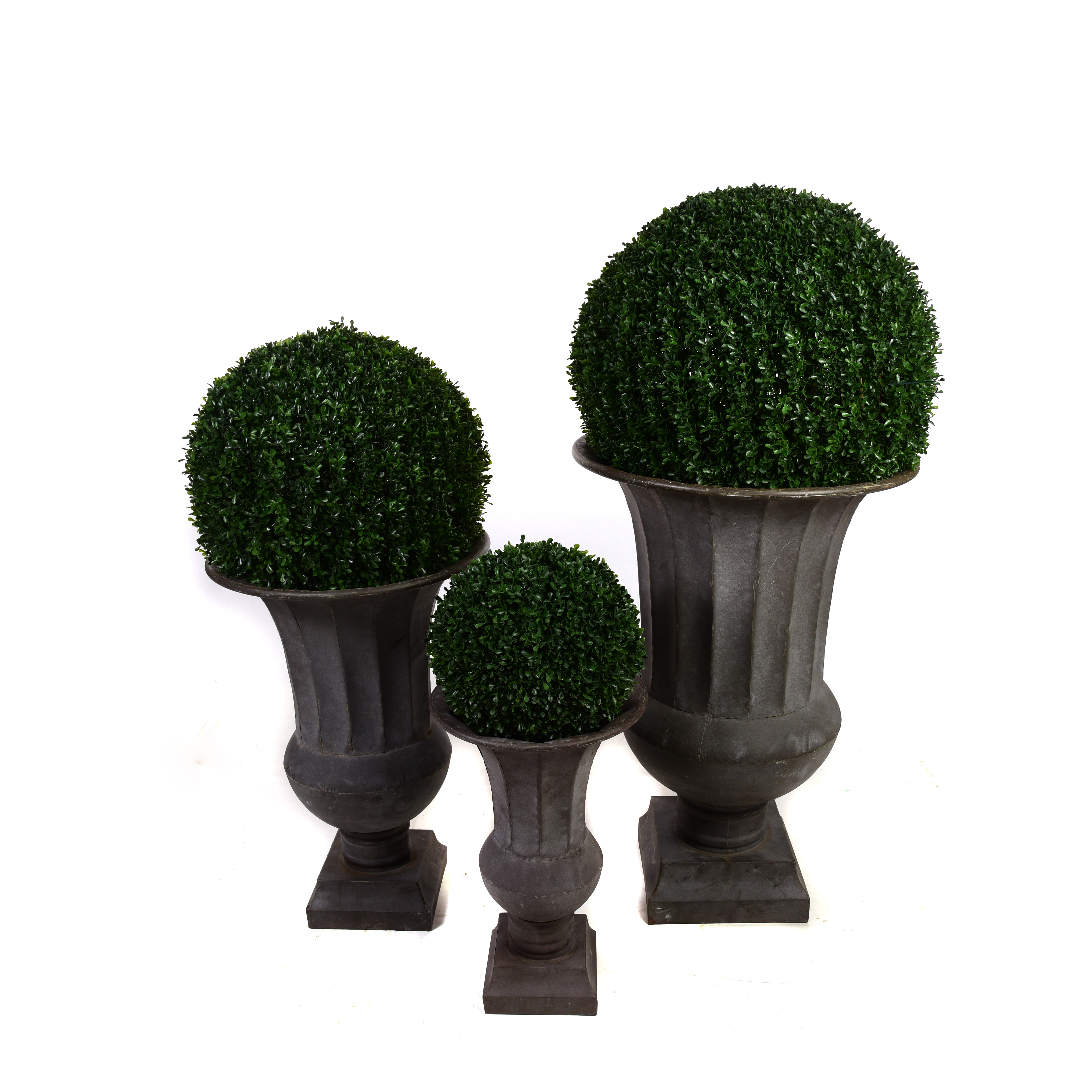 Boxwood Ball Available in 3 Sizes