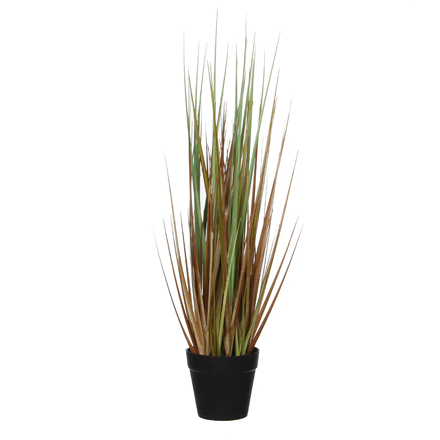 Onion Grass in Brown Pot