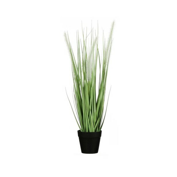 Cattail Grass White in Pot