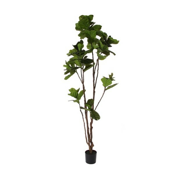 Fiddle Leaf Potted Tree