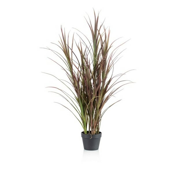 Green & Burgundy Outdoor Grass in Pot