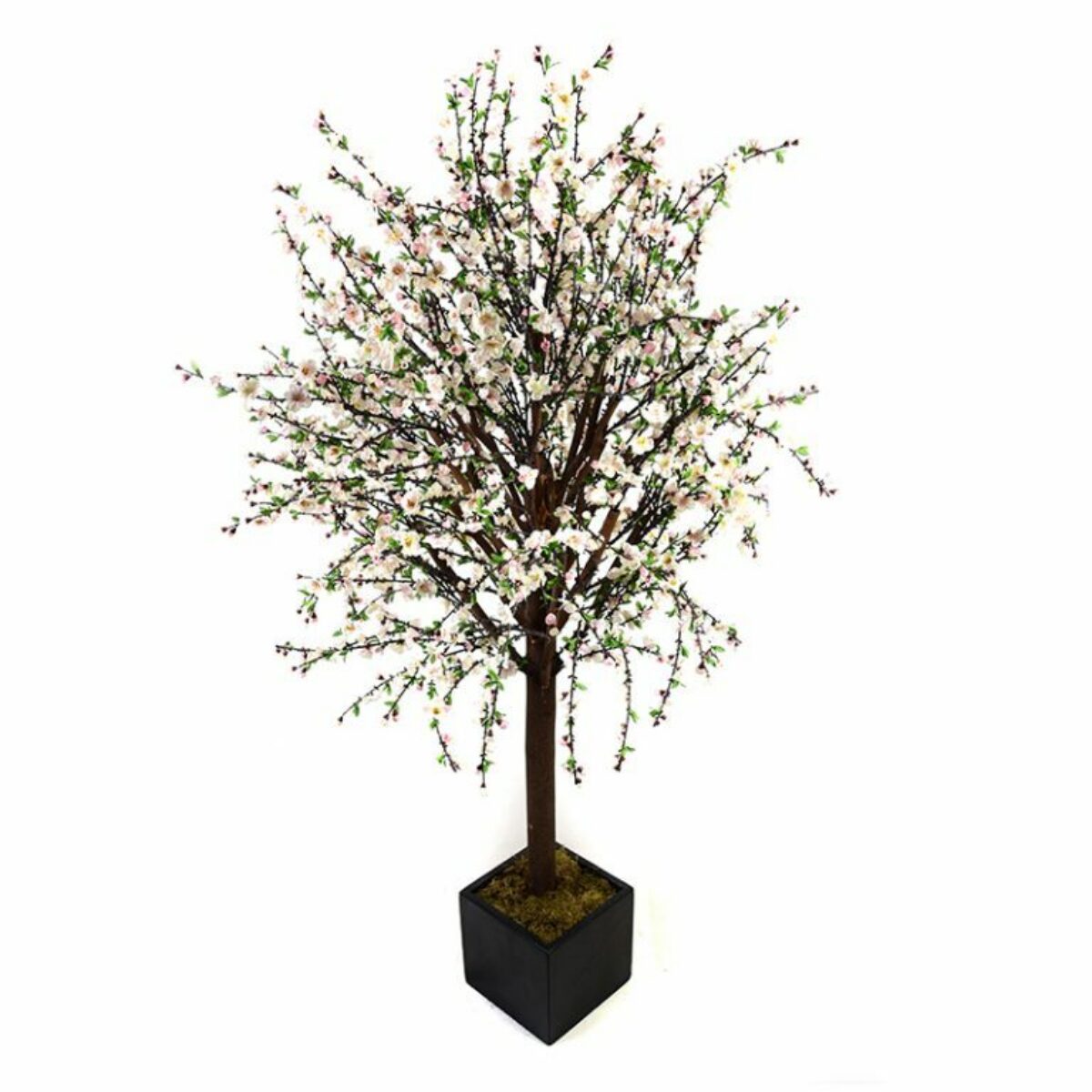 Pale Pink Cherry Blossom Tree 205cm H