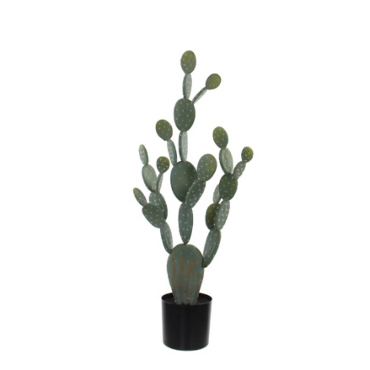 Tall Cactus in pot H155cm 103010001