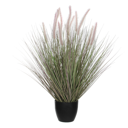 Cattail Grass in Pink Available in 2 Sizes