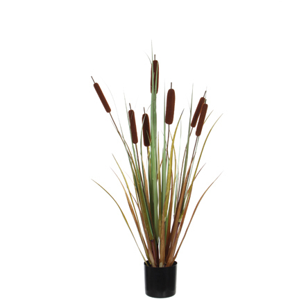 Reedmace Available in 2 Sizes