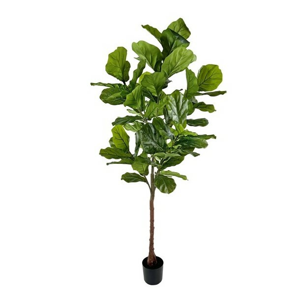 Fiddle Potted Tree