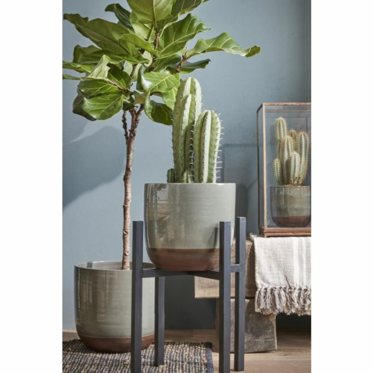 Ascot Plant Stand XL