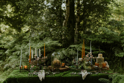 Styled Photoshoot at Finnebrogue Woods