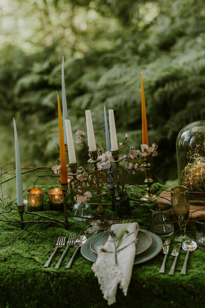 Styled Photoshoot at Finnebrogue Woods