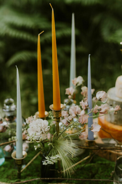 Styled Photoshoot at Finnebrogue Woods