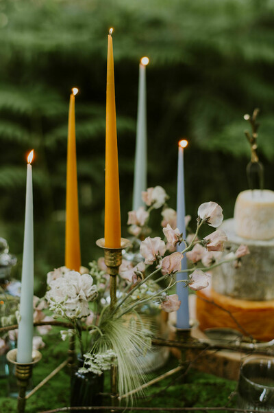 Styled Photoshoot at Finnebrogue Woods