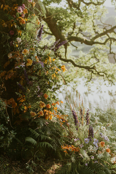Styled Photoshoot at Finnebrogue Woods