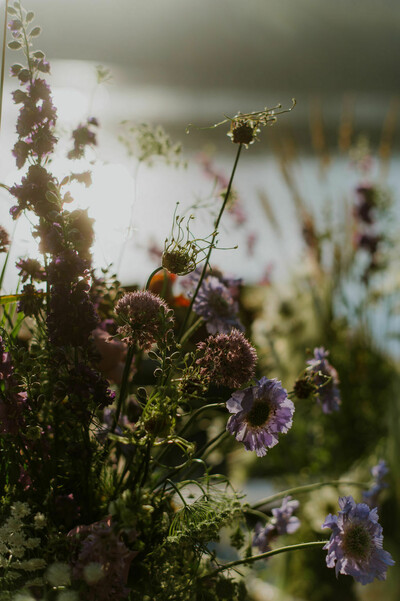 Styled Photoshoot at Finnebrogue Woods