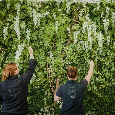 How we work with you