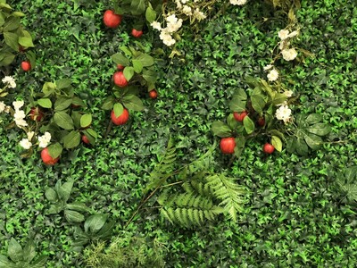 Armagh Cider Festival 2018