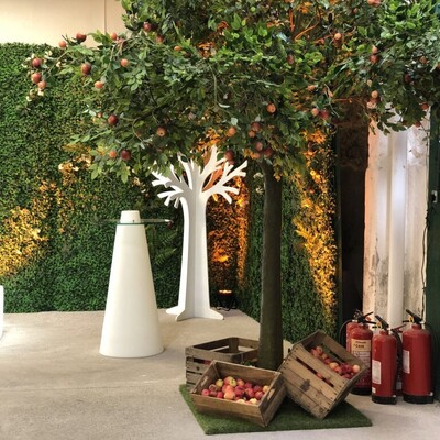 Armagh Cider Festival 2018